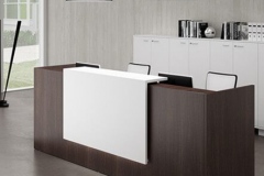 Reception Desk